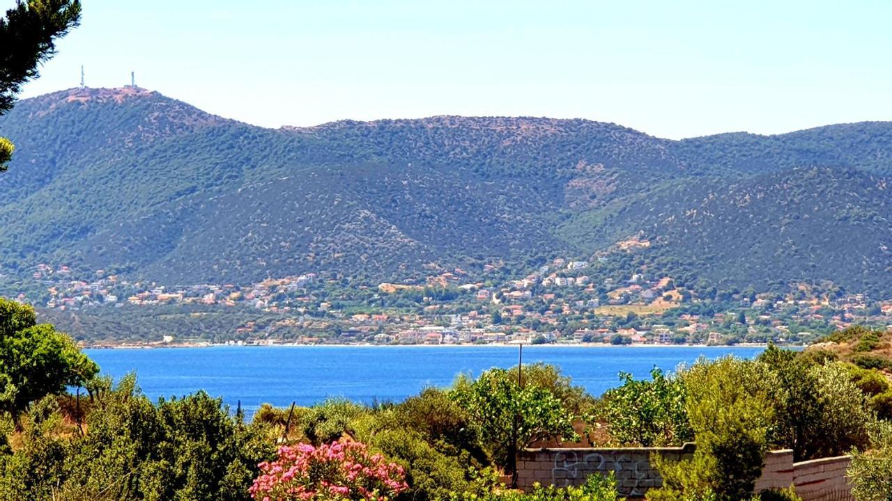 Deluxe Apartment Near The Airport Adults Only Πόρτο Ράφτη Εξωτερικό φωτογραφία